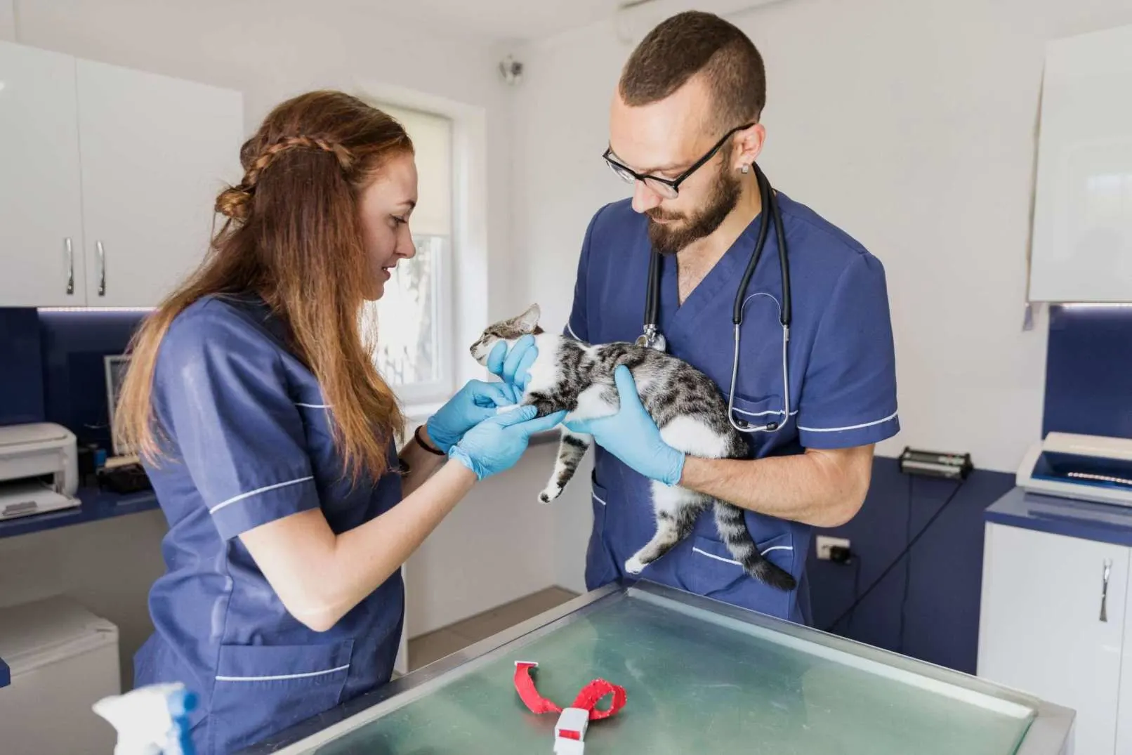 pet care product thumb image