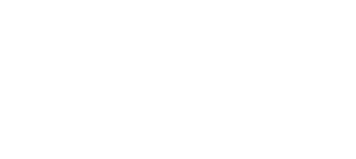 brineweb logo