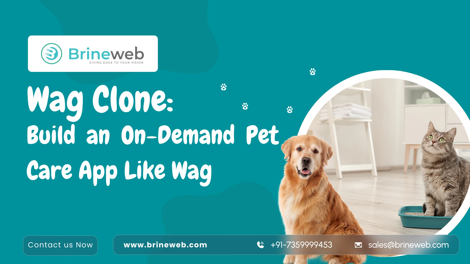 Wag Clone: How to Build an On Demand Pet Care App in 2026
