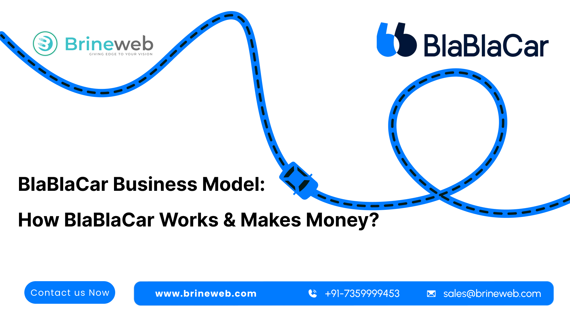 BlaBlaCar Business Model: How BlaBlaCar Works and Makes Money