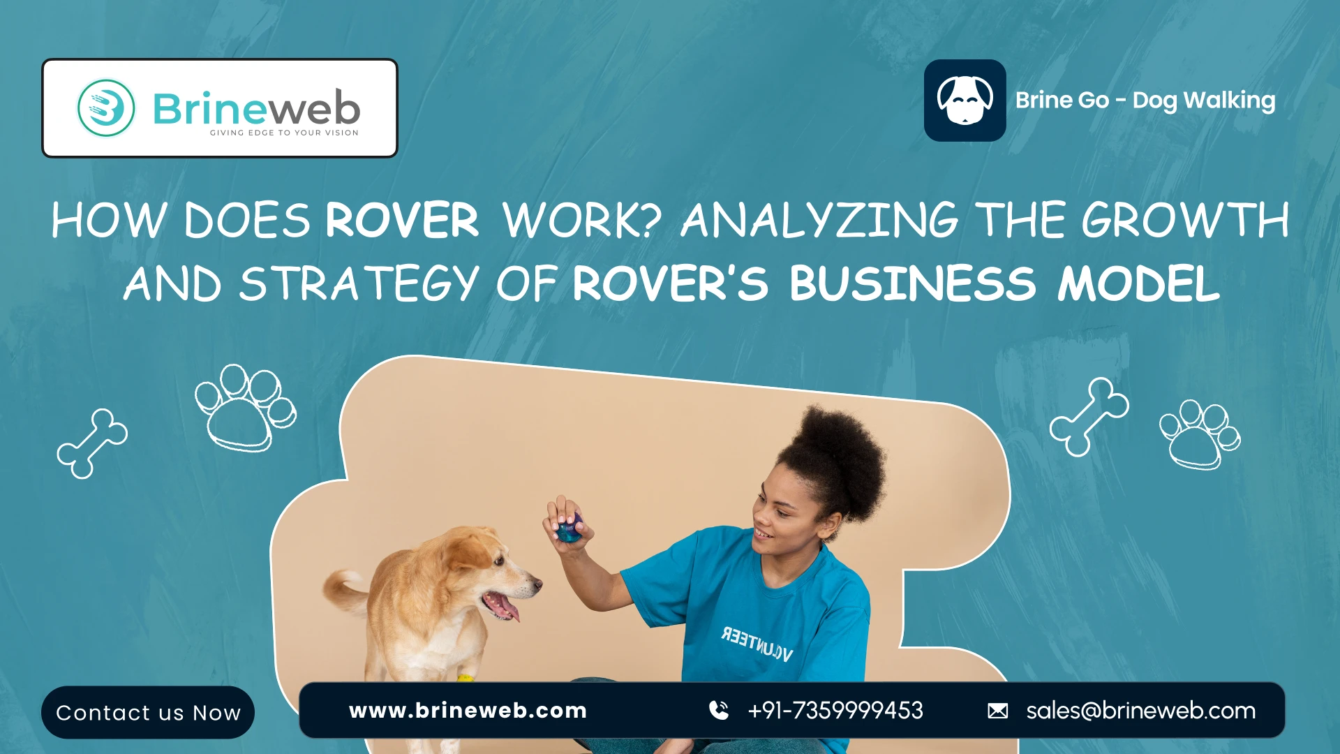 How Rover Works: Business Model, Revenue Strategy and Growth Explained blog banner image